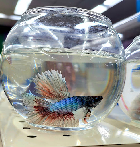 Pet Supply Store «Pet Supermarket, Inc.», reviews and photos, 380 E Michigan St, Orlando, FL 32806, USA