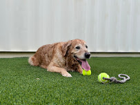 Waggy Tails Boarding and Services LLC - Photo 1 - Car repair in Panama City Beach, FL, Panama City