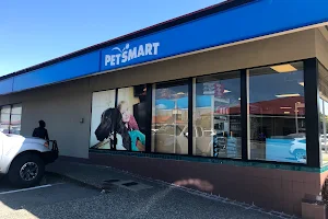 PetSmart image