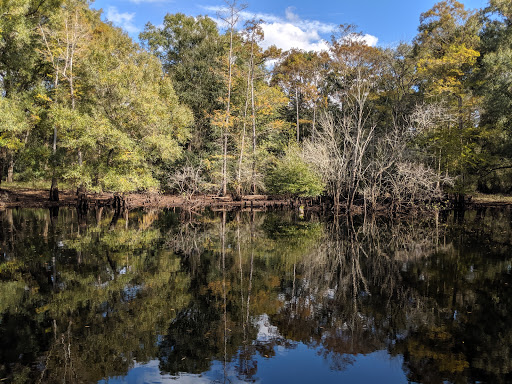 Nature Preserve «Green Swamp Wilderness Preserve», reviews and photos, 28057 FL-471, Webster, FL 33597, USA