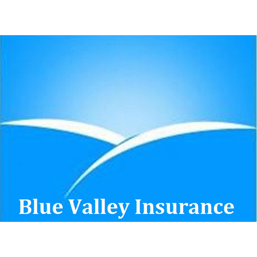 Insurance Agency «Blue Valley Insurance», reviews and photos