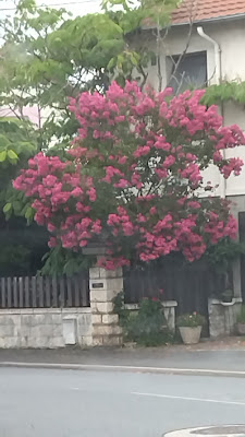Bayrand à Montluçon