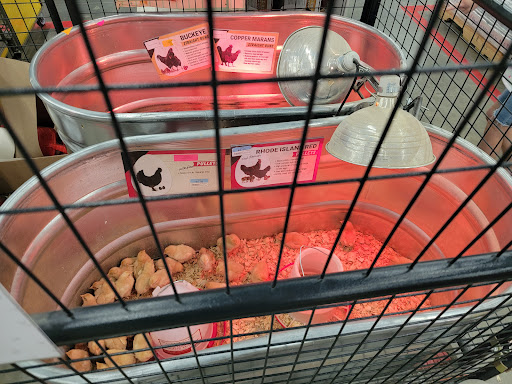 Home Improvement Store «Tractor Supply Co.», reviews and photos, 6801 Florida 50, Groveland, FL 34736, USA