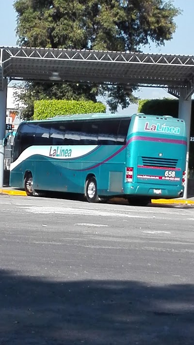 Photos of Autobuses de Occidente