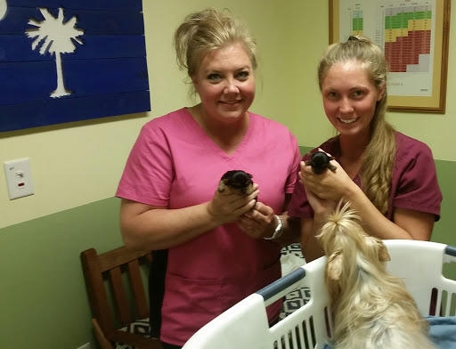 Animal Hospital of South Carolina image