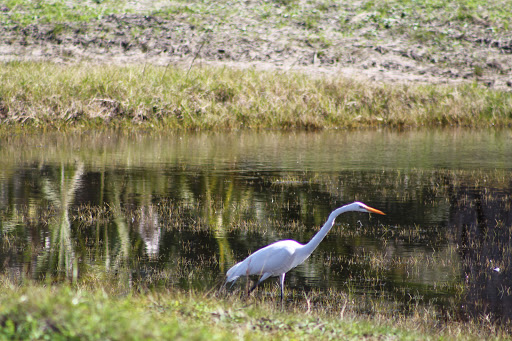 Hardware Store «Ace Hardware», reviews and photos, 2631 TX-35 BUS, Rockport, TX 78382, USA