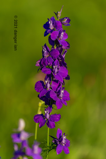 Park «Bob Eden Park», reviews and photos, 901 W Mid Cities Blvd, Euless, TX 76039, USA