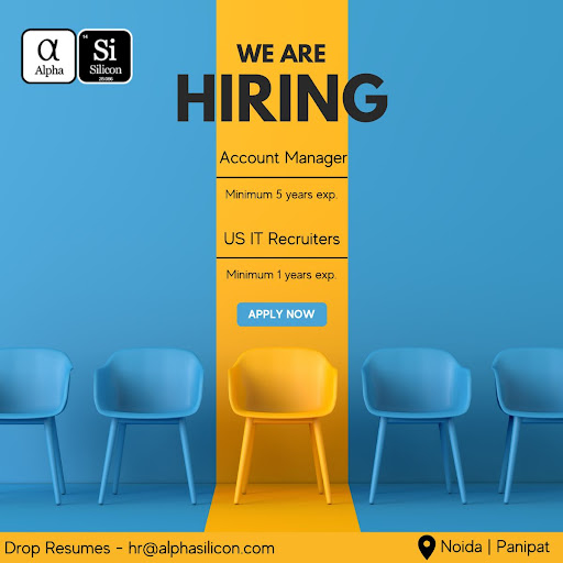 Alpha Silicon LLC - IT Consulting and Staffing Company image
