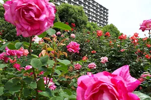 Grass Plaza at Yatsu-higata image