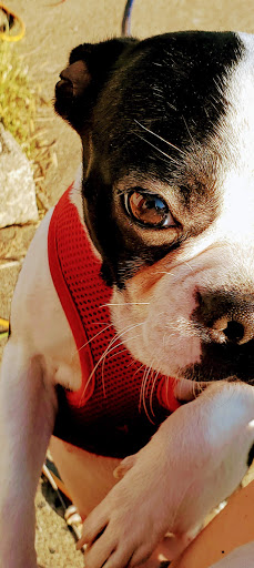 Restaurant «SUBWAY®Restaurants», reviews and photos, 2705 Henry Ave, Eau Claire, WI 54701, USA