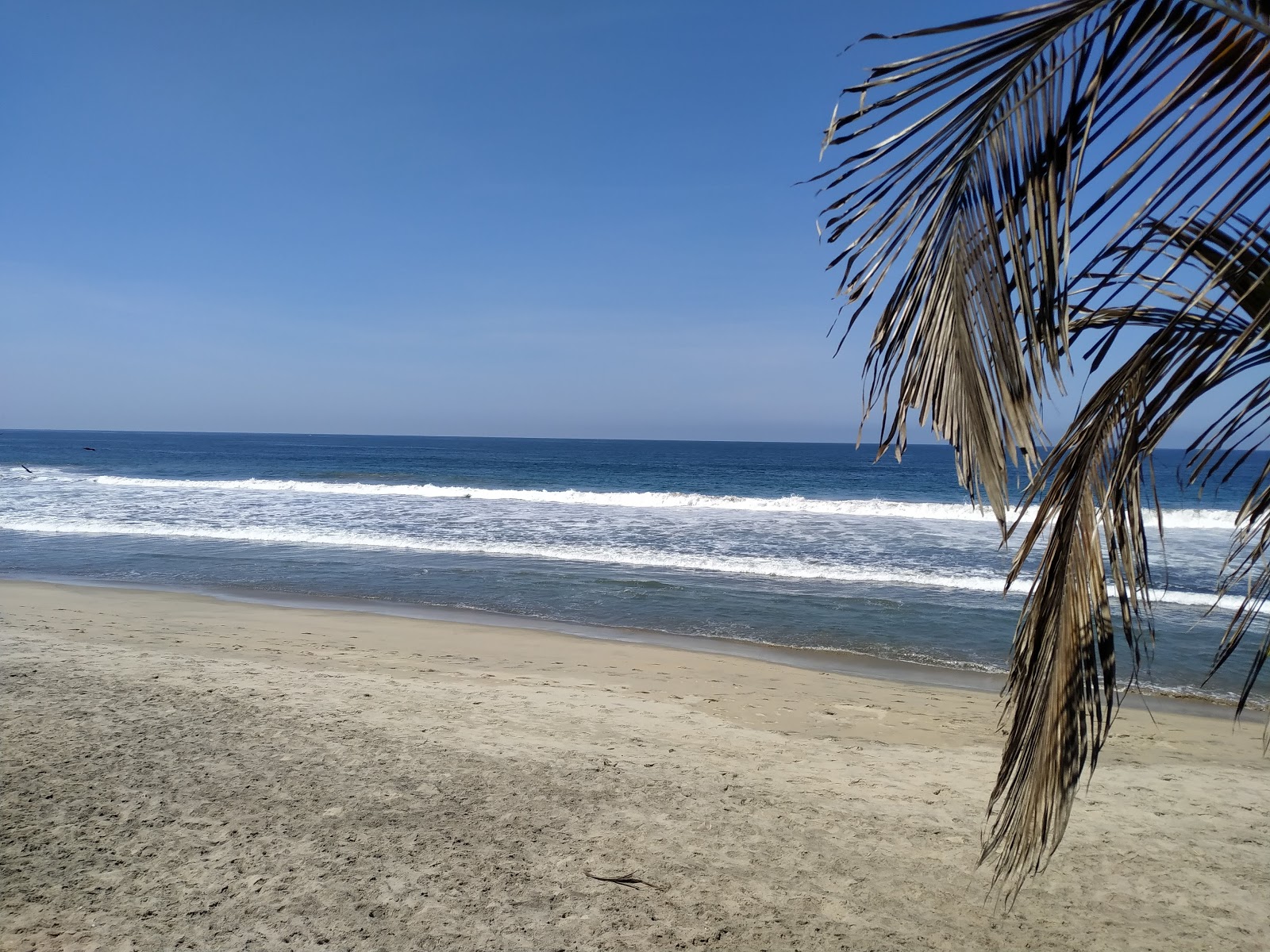 Foto de Playa Tomy con muy limpio nivel de limpieza