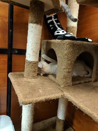 Pet Supply Store «PetSmart», reviews and photos, 4516 U.S. 9, Howell, NJ 07731, USA