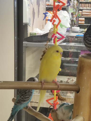 Pet Supply Store «Petco Animal Supplies», reviews and photos, 2842 NW 63rd St, Oklahoma City, OK 73116, USA