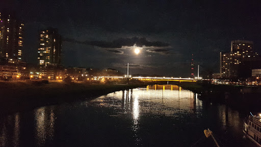 Küçük Resim 1
