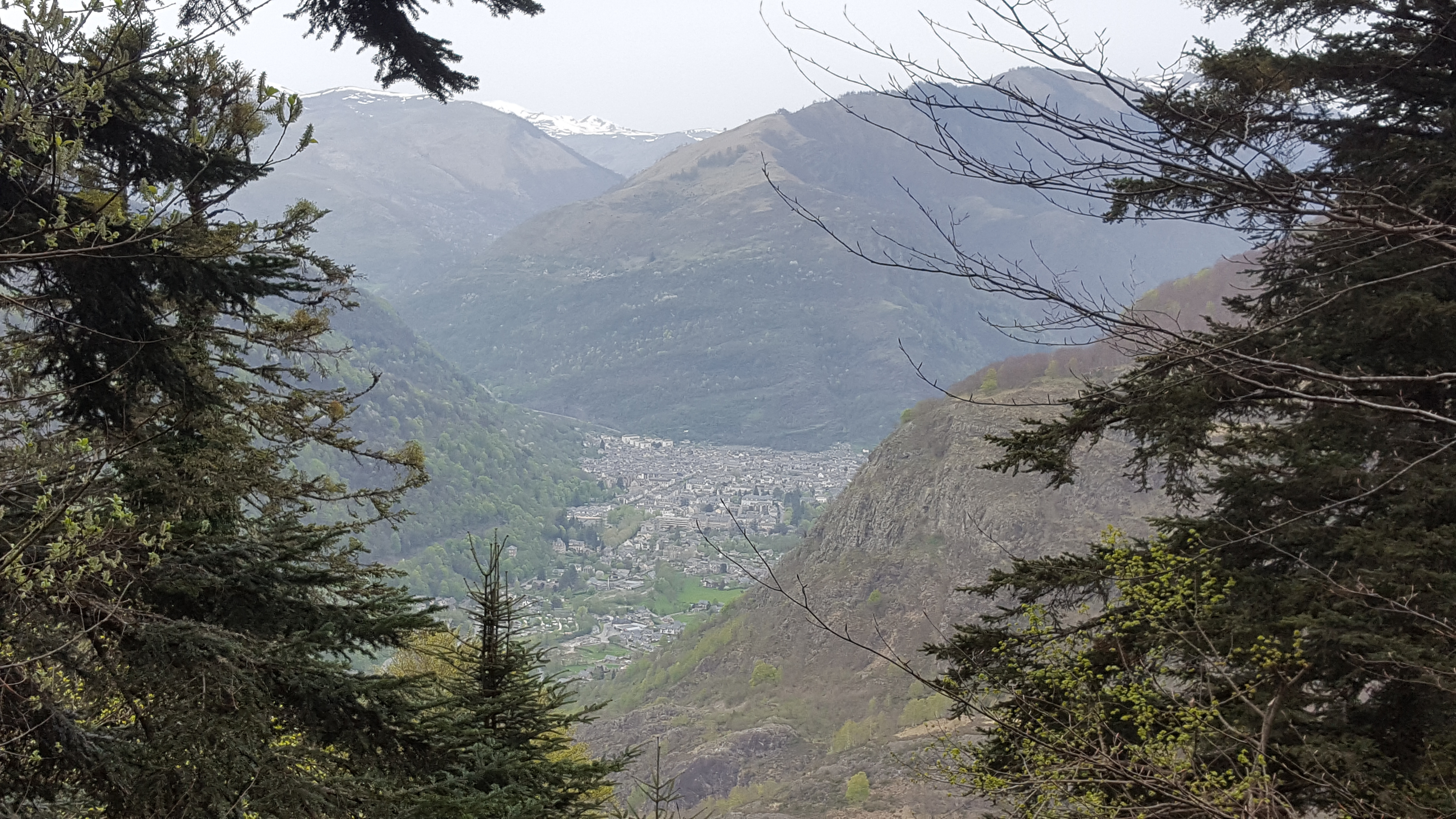 Photo n° 1 de l'avis de Michel. fait le 25/04/2018 à 06:31