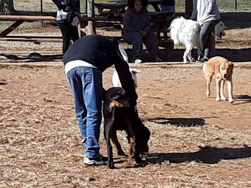 Dog Park «Murfreesboro Bark Park», reviews and photos, 1540 W College St, Murfreesboro, TN 37130, USA