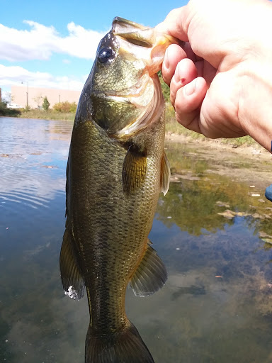 Movie Theater «AMC Classic Grove City 14», reviews and photos, 4218 Buckeye Pkwy, Grove City, OH 43123, USA