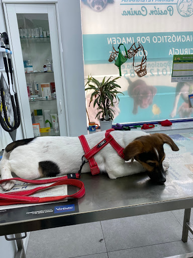 Passion Canine Clínica Veterinaria en Pinto