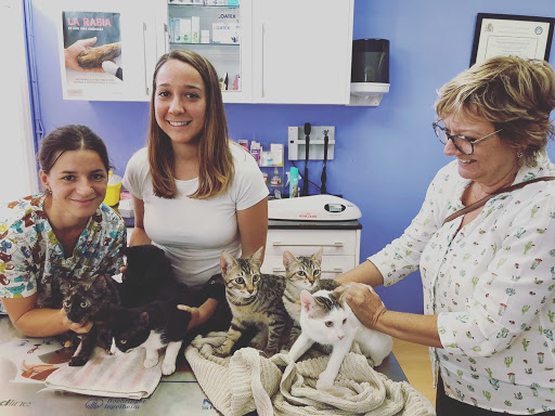 Clínica Veterinaria Prat de Cunit en Cunit