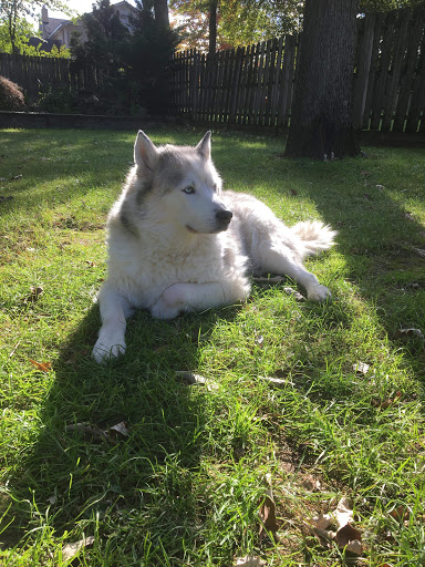 189 Parsippany Rd, Parsippany, NJ 07054, USA