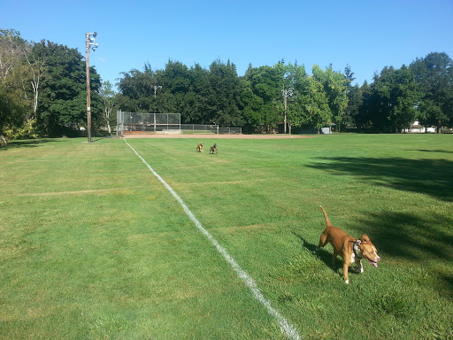 Park «Guy Lee Park», reviews and photos, 890 Darlene Ave, Springfield, OR 97477, USA