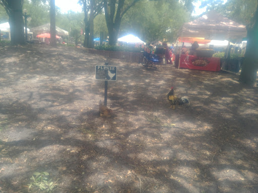 Museum «Ybor City State Museum», reviews and photos, 1818 E 9th Ave, Tampa, FL 33605, USA