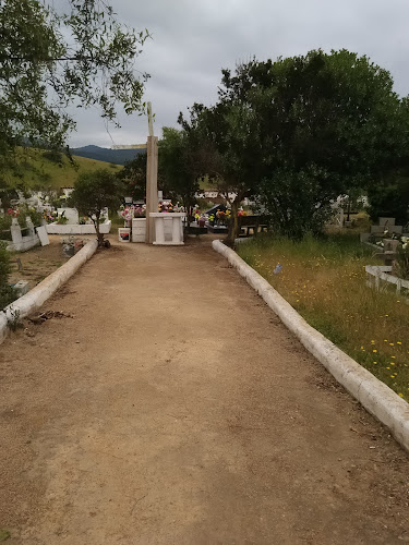 Opiniones de Cementerio San Alfonso en Zapallar - Museo