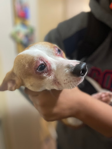 Pet Supply Store «PetSmart», reviews and photos, 430 NW Eastman Pkwy, Gresham, OR 97030, USA