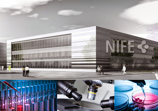 NIFE – Niedersächsisches Zentrum für Biomedizintechnik, Implantatforschung und Entwicklung