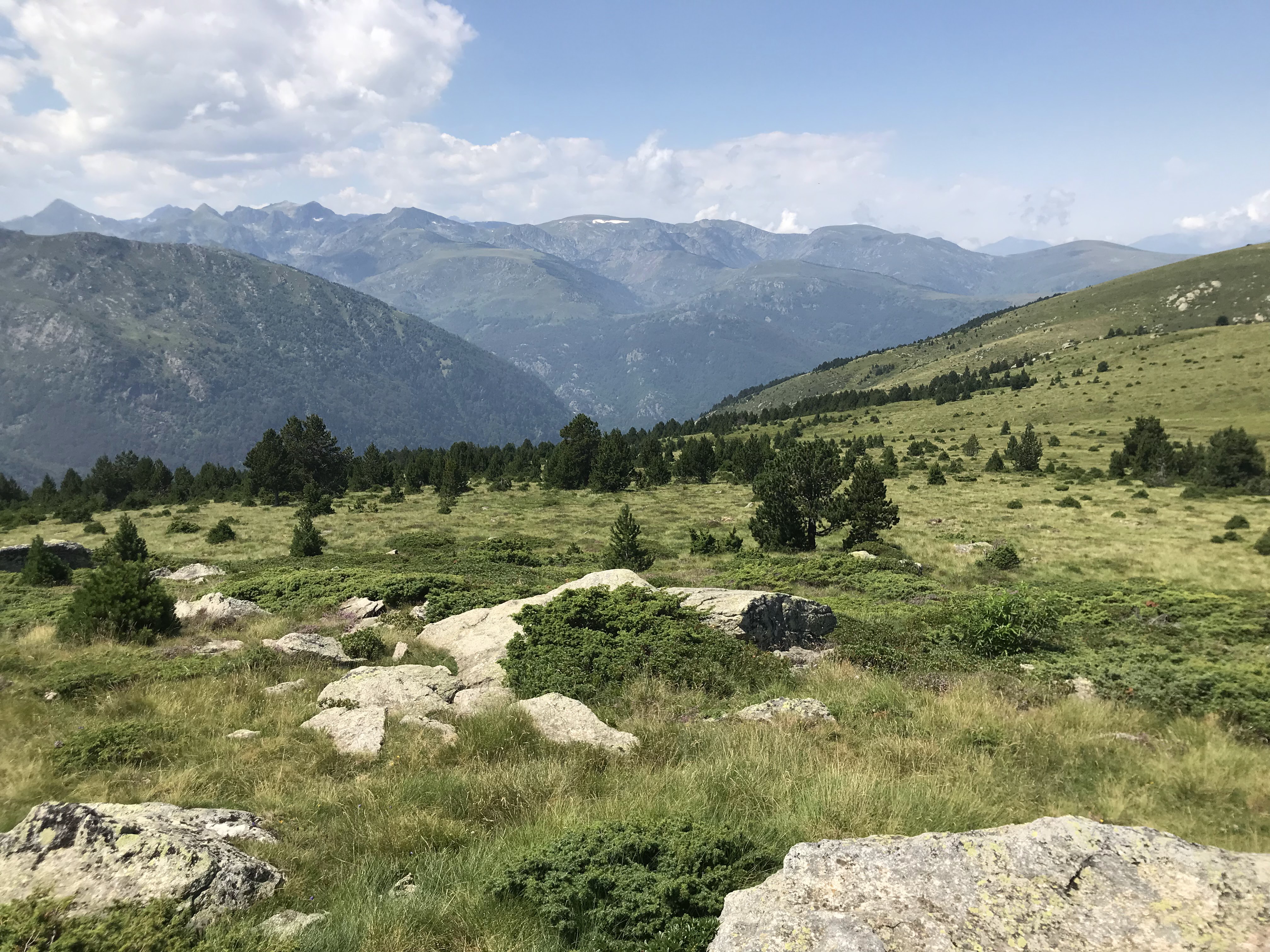 Photo n° 4 de l'avis de Awdgheh.a fait le 27/12/2018 à 04:02