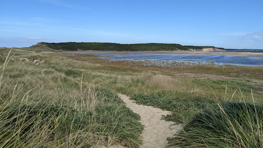 Winery «Truro Vineyards + South Hollow Spirits», reviews and photos, 11 Shore Rd, North Truro, MA 02652, USA