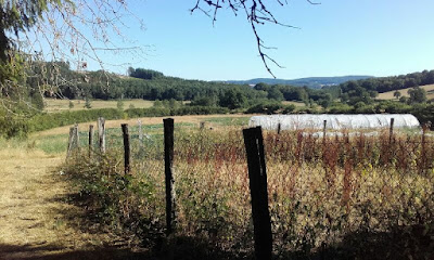 La Petite Ferme à Brassy