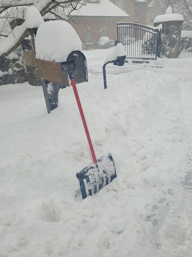 Ridge Auto Body Shop en Armonk