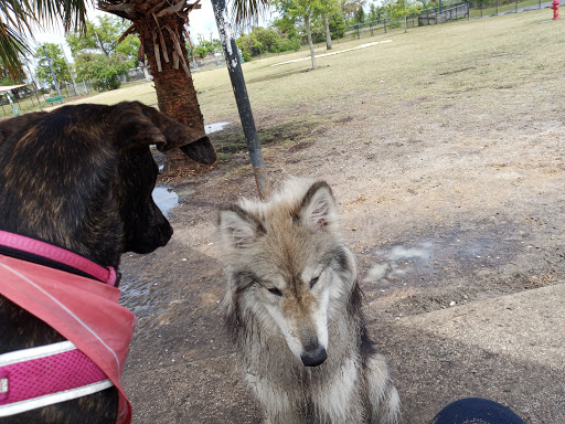 Park «Al Helms Dog Park», reviews and photos, 1022 Balboa Ave, Panama City, FL 32401, USA