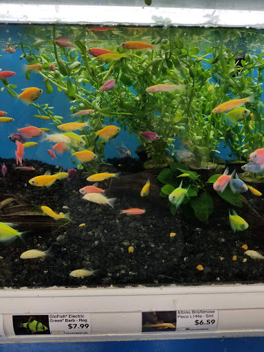 Pet Supply Store «Pet Supermarket», reviews and photos, 7805 Abercorn St, Savannah, GA 31406, USA