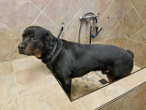 Pet Store «Pet Valu», reviews and photos, 3150 US-22 #16, Branchburg, NJ 08876, USA