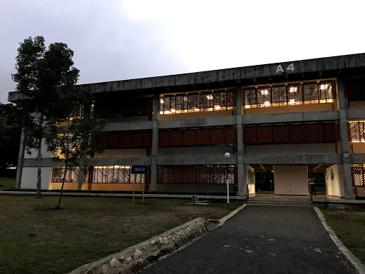 Universidades de publicidad en Punta Cana