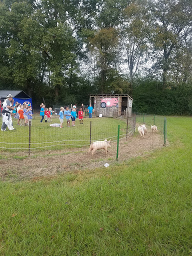 Tourist Attraction «Cajun Country Corn», reviews and photos, 40833 LA-16, Amite City, LA 70422, USA