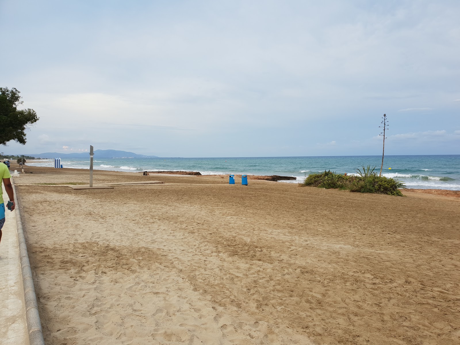 Foto af Playa de les Amplaries 2 med grønt vand overflade