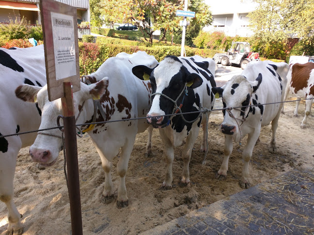 Kommentare und Rezensionen über Ortsmuseum Albisrieden