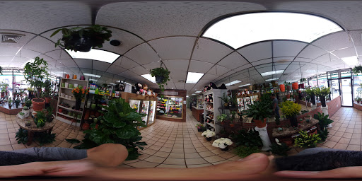 Florist «Northern Blvd. Florist», reviews and photos, 82-09 Northern Blvd, Jackson Heights, NY 11372, USA