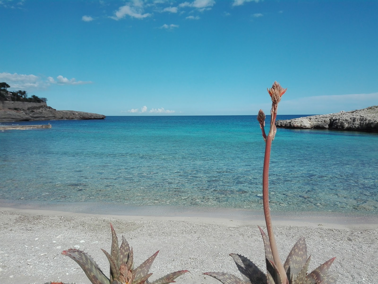 Foto de Playa Cala Murada con arena brillante y rocas superficie