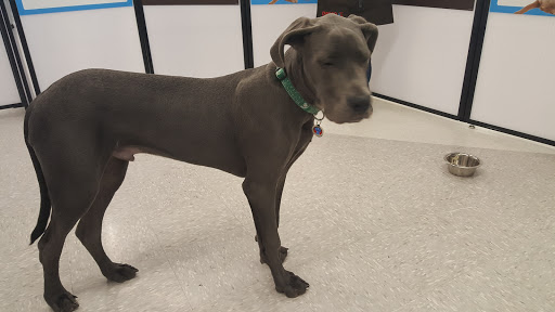 Pet Supply Store «Petco Animal Supplies», reviews and photos, G3559 Miller Rd, Flint, MI 48507, USA