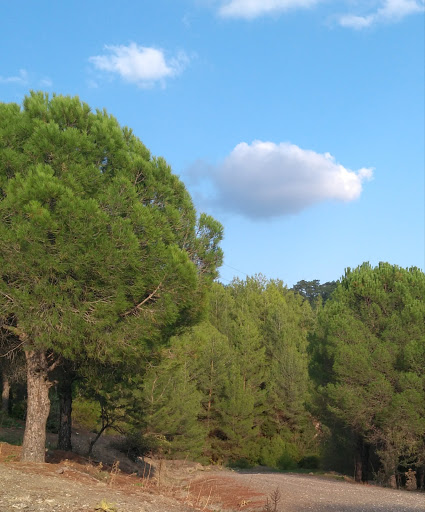 Ula Gıda Tarım Ve Hayvancılık İlçe Müdürlüğü