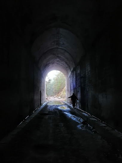 Túnel del tren