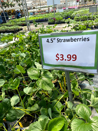 Garden Center «Gro-Rite Garden Center & Florist», reviews and photos, 30 Hillview Rd, Lincoln Park, NJ 07035, USA