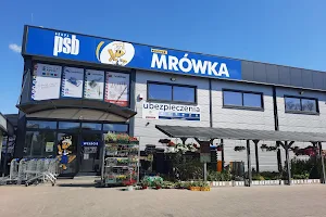 PSB Mrówka image