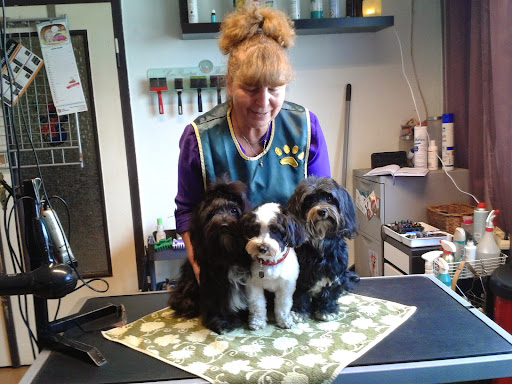 Hundesalon Fellzauber unter Niemegk, 