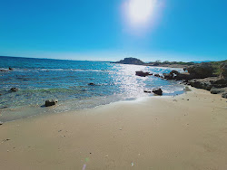 Mushroom Beach'in fotoğrafı vahşi alan