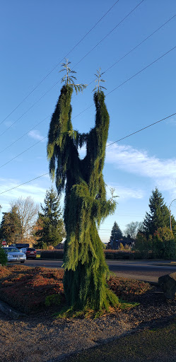 Farm «Pacific Hazelnut Farms & Candy Factory», reviews and photos, 14673 Ottaway Rd NE, Aurora, OR 97002, USA